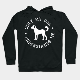 Only My Dog Understands Me Hoodie